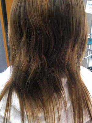 �k�ы����{�p�O���f���P