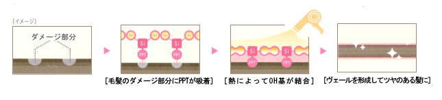 ヒートセンサーとPPTの役割図